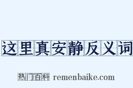这里真安静反义词是什么意思的图片